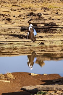 Person in traditional dress moving over rocks near a waterhole, Tuareg fetching water in the Sahara
