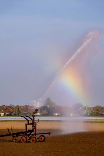 Artificial irrigation of a field, freshly sown, in April, with a sprinkler system, long dry spell