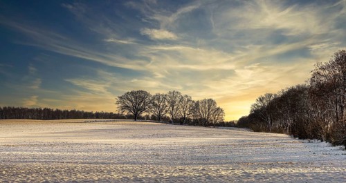 Winter landscape, fields and fields in Berlin Lübars, a village in Berlin Reinickendorf, Germany