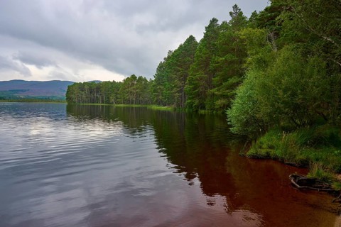A calm lake with forest on the shore and dramatic sky above, reflecting water, Loch Garden, Nethy