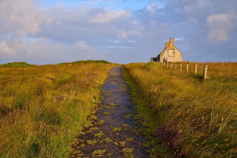 A narrow path runs through a vast meadow and leads to a single stone house under a cloudy sky,