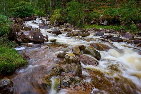 River with strong current flows over rocks in woodland, Scotland, United Kingdom, Great Britain