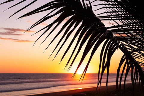 Low sun illuminates ocean and palm trees on the beach, with views of Corcovado National Park. Costa