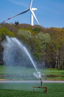 Artificial irrigation of a cereal field in April, with a sprinkler system, long dry spell in spring