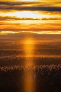 Ice crystals in backlight (light phenomenon) over a wide forest area, Saariselkä, Lapland, Finland,