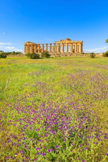 Temple of Hera or Temple E, Selinunte Archaeological Park, Selinunte, Trapani district, Sicily,