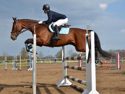 Show jumping equestrian competition in Jaroszowka, Poland