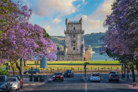 Scenic view of Belem Tower in Lisbon highlighted by blooming jacaranda trees and sailboats on the