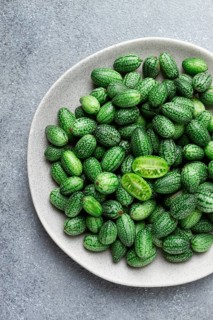 African cucumber, Mexican cucumber, mouse melon, Melothria