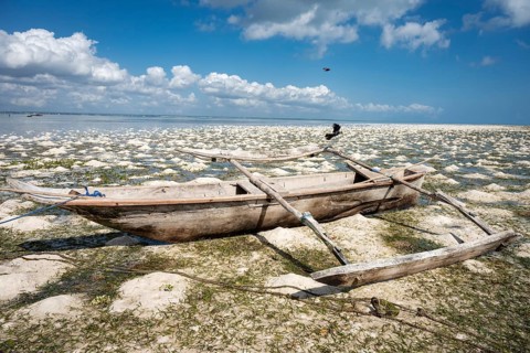 Traditional wooden outrigger boat dhow resting on a sandy beach during low tide in Zanzibar, with