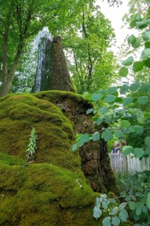 Wasserbaum, Ockensen, Salzhemmendorf, Lower Saxony, Germany