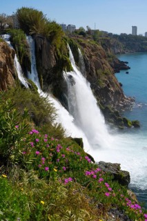 A waterfall falls from a cliff into the sea, surrounded by flowers and with buildings in the