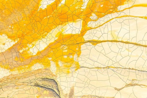 This image captures the intricate textures and sunny hues of golden mud drying and cracking. The