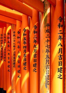 Torii gates, Fushimi Inari-Taisha shrine, Kyoto, Japan
