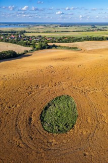 Aerial view, drone photo: Grass growing in a shallow ice hole from the ice age, surrounded by a