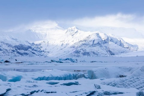 Grey seal, (Halichoerus grypus), glacier lagoon, glacial lake, glacial ice, water, snow, winter,