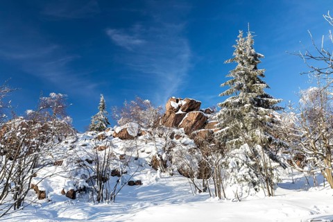 Großer Lugstein, sunny winter landscape with snow-covered trees, bushes, trails and branches