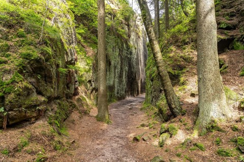 Mühlsteinbrüche hiking area near Jonsdorf in the Zittau Mountains, Upper Lusatia, Saxony, Germany
