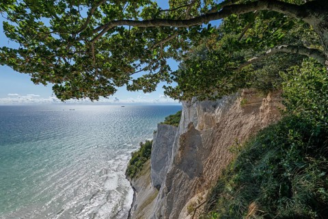 White chalk cliffs framed by green beech trees (Fagus sylvatica) with ships on the milky Baltic Sea