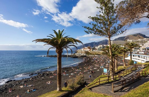 Palm trees with Las Arenas beach in Puerto de Santiago, Atlantic, Tenerife, Canary Islands, Spain