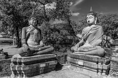 Stone Buddha statues, historic Buddhist temple complex, black and white photo, Ayutthaya, Thailand