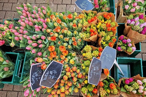 Heidelberg, Germany - 19th March 2026: Colorful spring tulip flower bouquets for sale