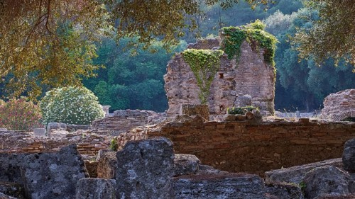 Buleuterion, Ancient ruins with overgrowing plants in front of a forest view, Archaeological Site,