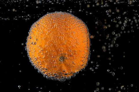 Mandarin (Citrus reticulata), Mandarin (Citrus reticulata), with air bubbles in the water, Germany