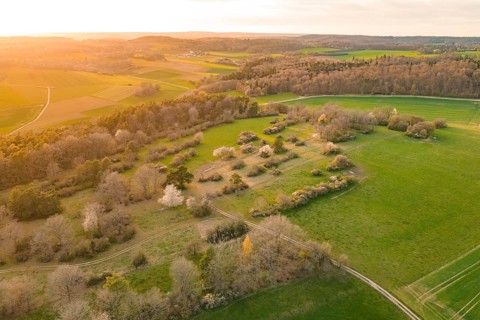 Extensive green fields with scattered trees in soft evening light, e-bike tour, old sports field in