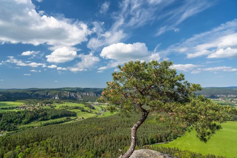 View over the Elbe Valley with the Bastei in the background, Saxon Switzerland, Saxony, Germany,