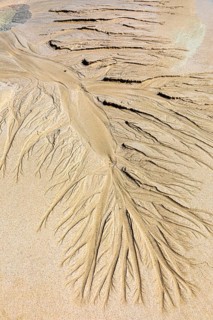 Seawater run-off leaves traces in the sand on Fazayat beach in Al Hauta, Dhofar province, Arabian
