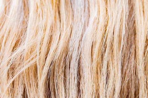 Detailed closeup of a horse's mane showcasing the intricate texture and variations in color. The
