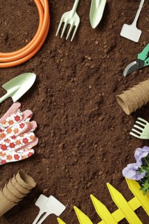 Top down view of garden tools, gloves, and seedlings arranged around rich soil. Perfect for