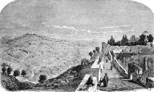 The Mount of Olives, chapter 24, verse 3, Matthew Gospel, destruction of Jerusalem, Jesus'