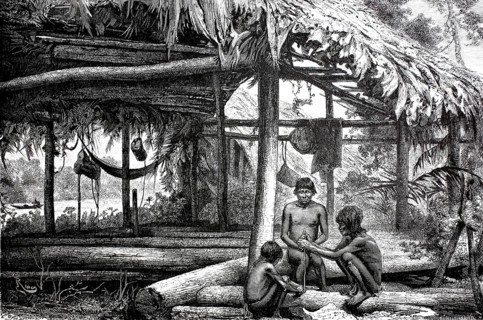 Hut of the Guarauno Indians in the Orinoco Delta, 1880, Venezuela, illustration, reproduction from
