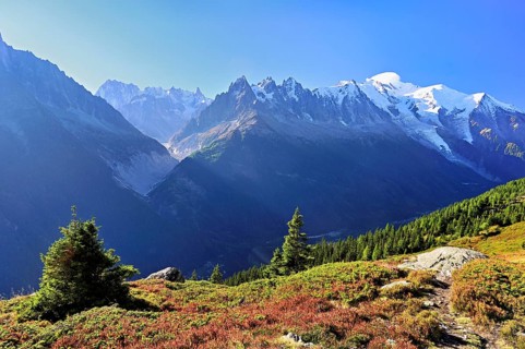 Mountain forest in an autumnal landscape with the snow-covered Mont Blanc massif in the background,