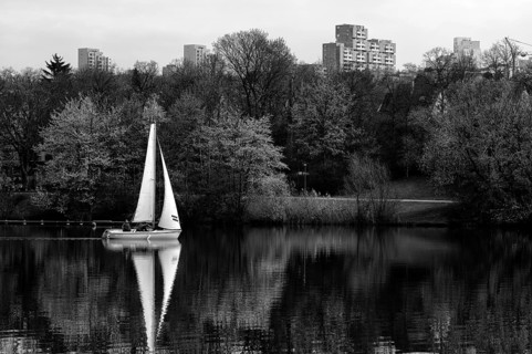 Sailing boat sails on Max-Eyth-See, Hofen, behind Neugereut, Schwarz-Weiß Stuttgart,