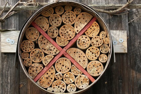 Insect hotel or insect house, nesting aid for a wide variety of insects, self-made, sealed tubes