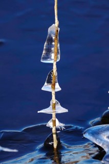 Ice on the banks of the Elbe, Winter, Dresden, Saxony, Germany