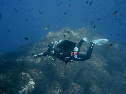 Diver explores the seabed surrounded by fish in a deep blue environment, Giens Peninsula dive site,