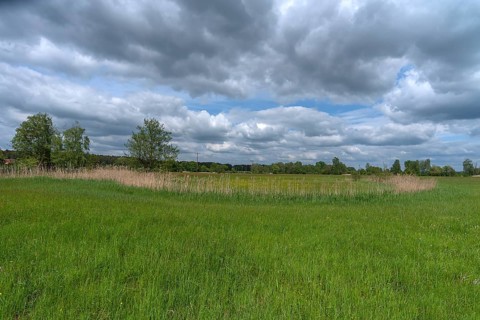 Wisenlandschaft, Schrobenhausen, Upper Bavaria, Germany