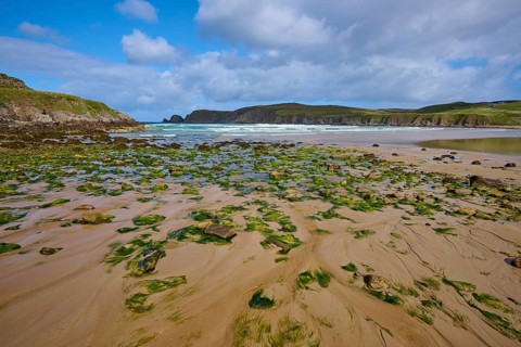 A wide view of the algae-covered beach and rocks on the ocean horizon, Farr Bay, Bettyhill, Thurso,