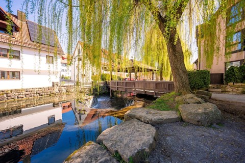 A house is reflected in calm water under a willow, Aidlingen, Böblingen district, Germany