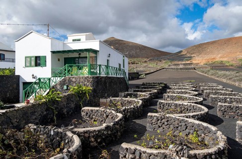 Typical white house between volcanic landscape, traditional winegrowing on Lapilli volcanic sand,