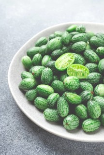 African cucumber, Mexican cucumber, mouse melon, Melothria