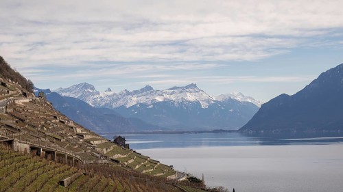 Sunny winter view of the steep Lavaux vineyards, a UNESCO World Heritage site, overlooking the