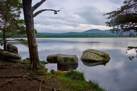 Rocks and trees on quiet lakeside under a cloudy sky, Loch Garden, Nethy Bridge, Scotland, United