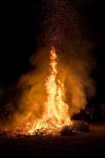 Environmental pollution, fire from discarded Christmas trees, Ostfildern-Plieningen,