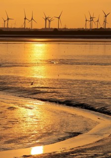 Mudflat landscape and many wind turbines in the marshland, North Sea, Norddeich, Norden, East