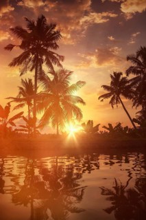 Kerala travel tourism background, Sunset on Kerala backwaters. Allepey, Kerala, India. Lens flare